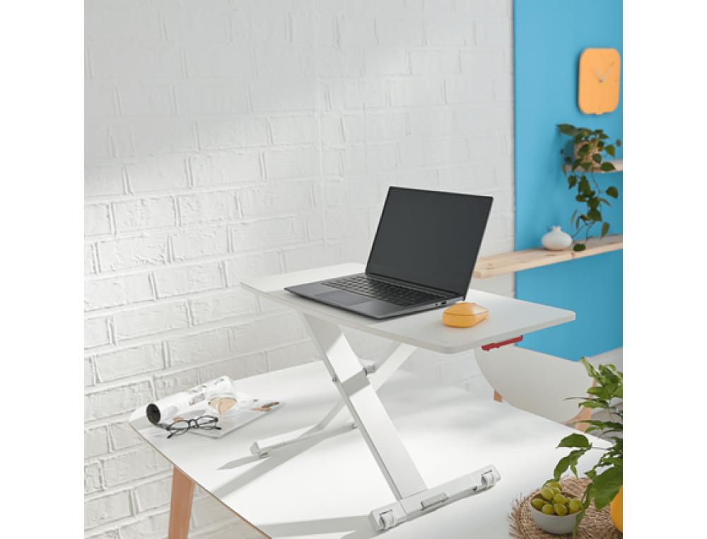 CONVERTISSEUR BUREAU ASSIS/DEBCONVERTISSEUR BUREAU ASSIS/DEBOUT  ERGO COSY
